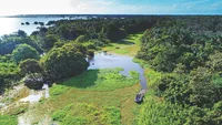 The Amazon
