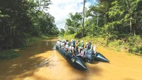 The Amazon